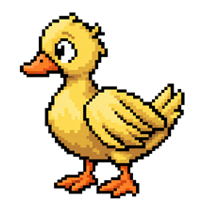 Duck Level 1